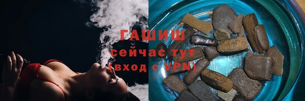 гашик Новозыбков