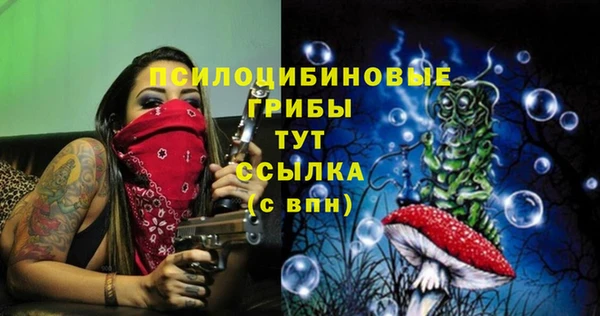 Альфа ПВП Арсеньев