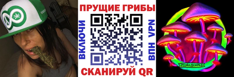 Псилоцибиновые грибы Psilocybine cubensis Соликамск